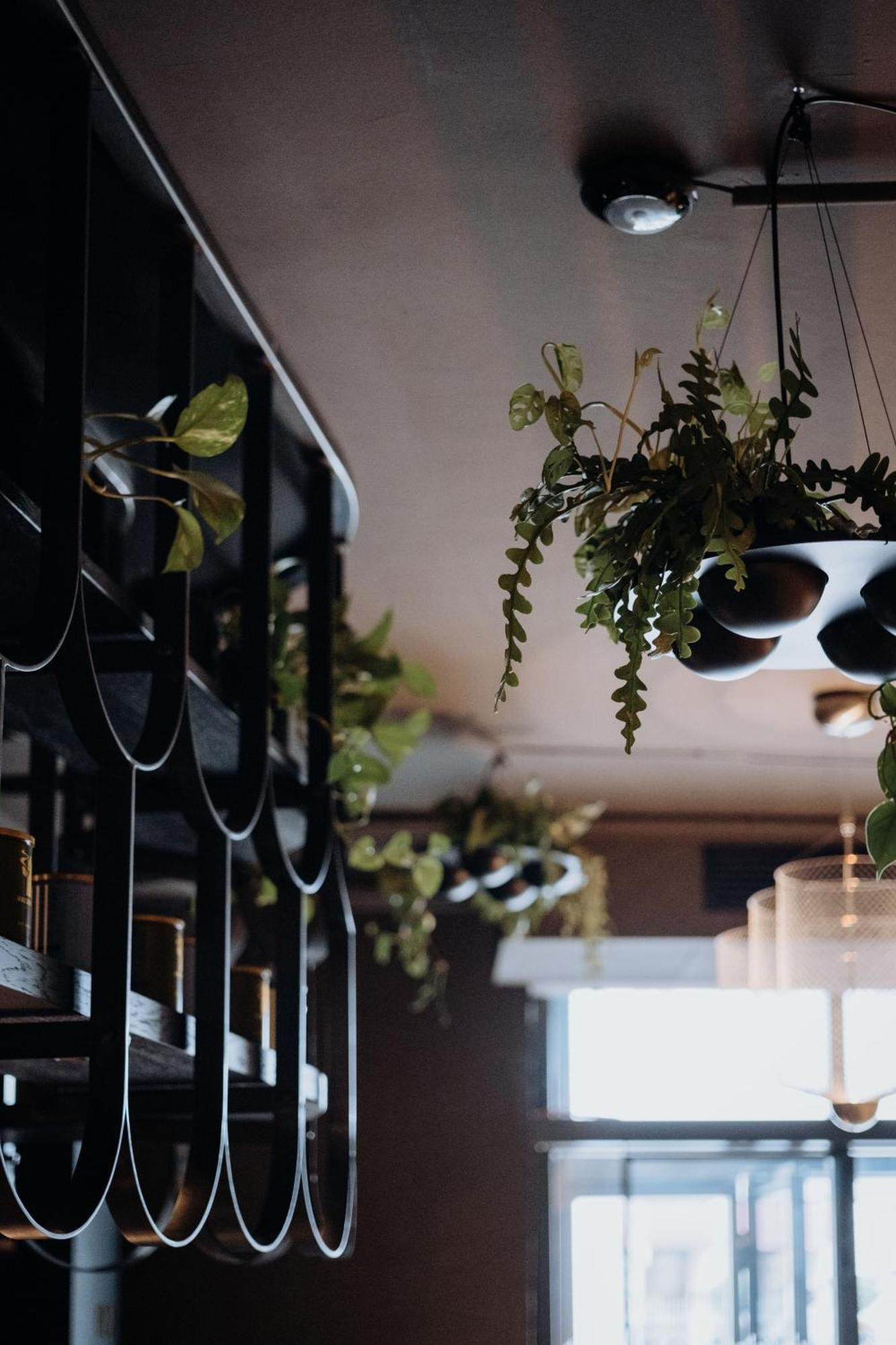 Gentle Hide Designhotel Salzburgo Exterior foto